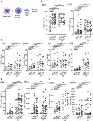 Potent Bidirectional Cross-Talk Between Plasmacytoid Dendritic Cells and γδT Cells Through BTN3A, Type I/II IFNs and Immune Checkpoints